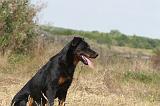 BEAUCERON 224